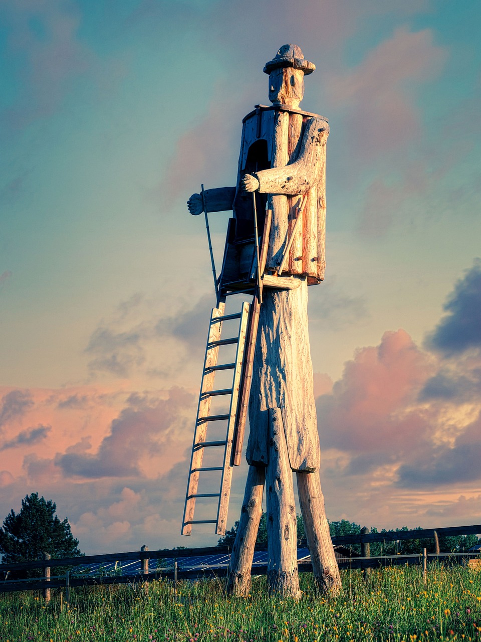 ladder, wood, man